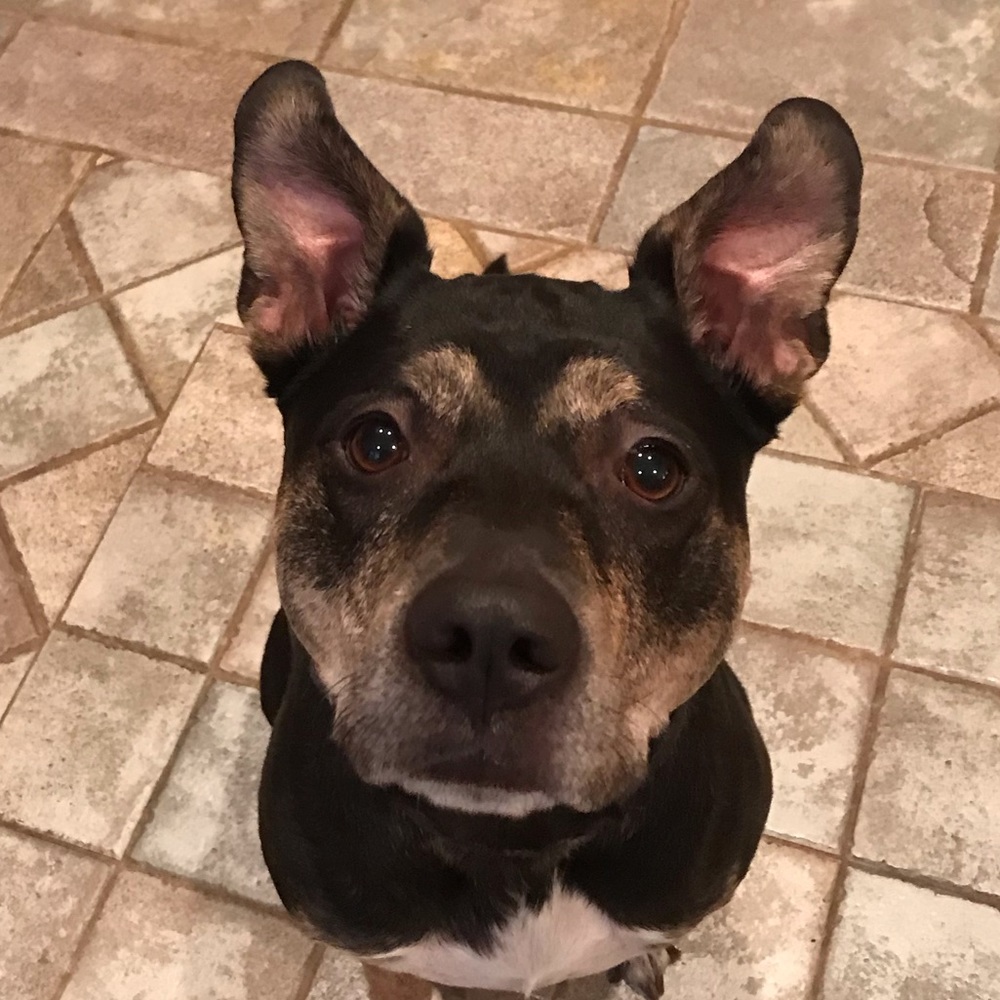 Meet your Posher, Margaret